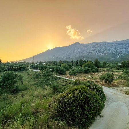 Apartmani Danica Orebić Dış mekan fotoğraf