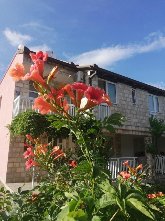 Apartmani Danica Orebić Dış mekan fotoğraf